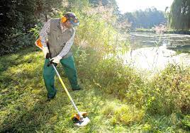 Stihl Grass Trimmers Brushcutters