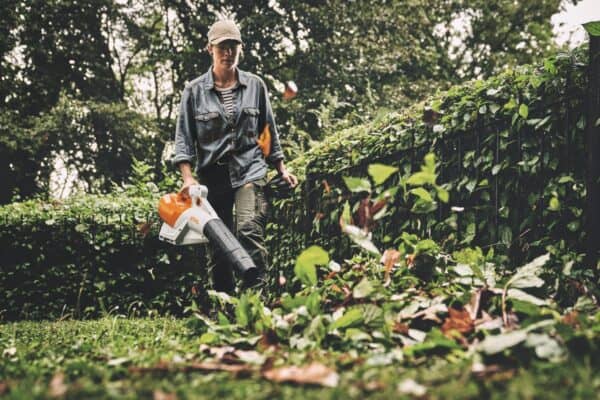 BGA 250 Cordless Blower - Image 2