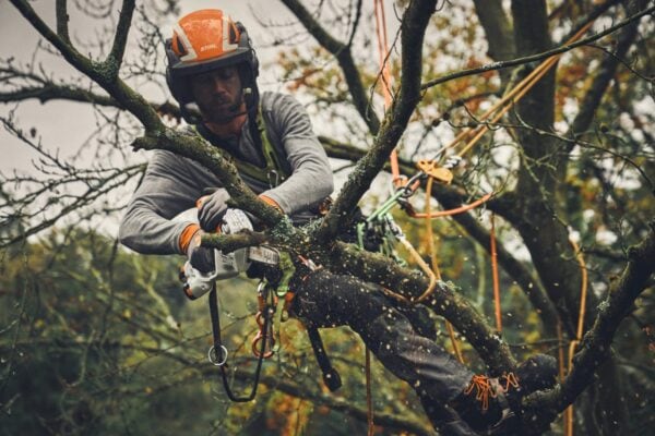 Stihl GTA 40 Cordless Pruner Kit - Image 4